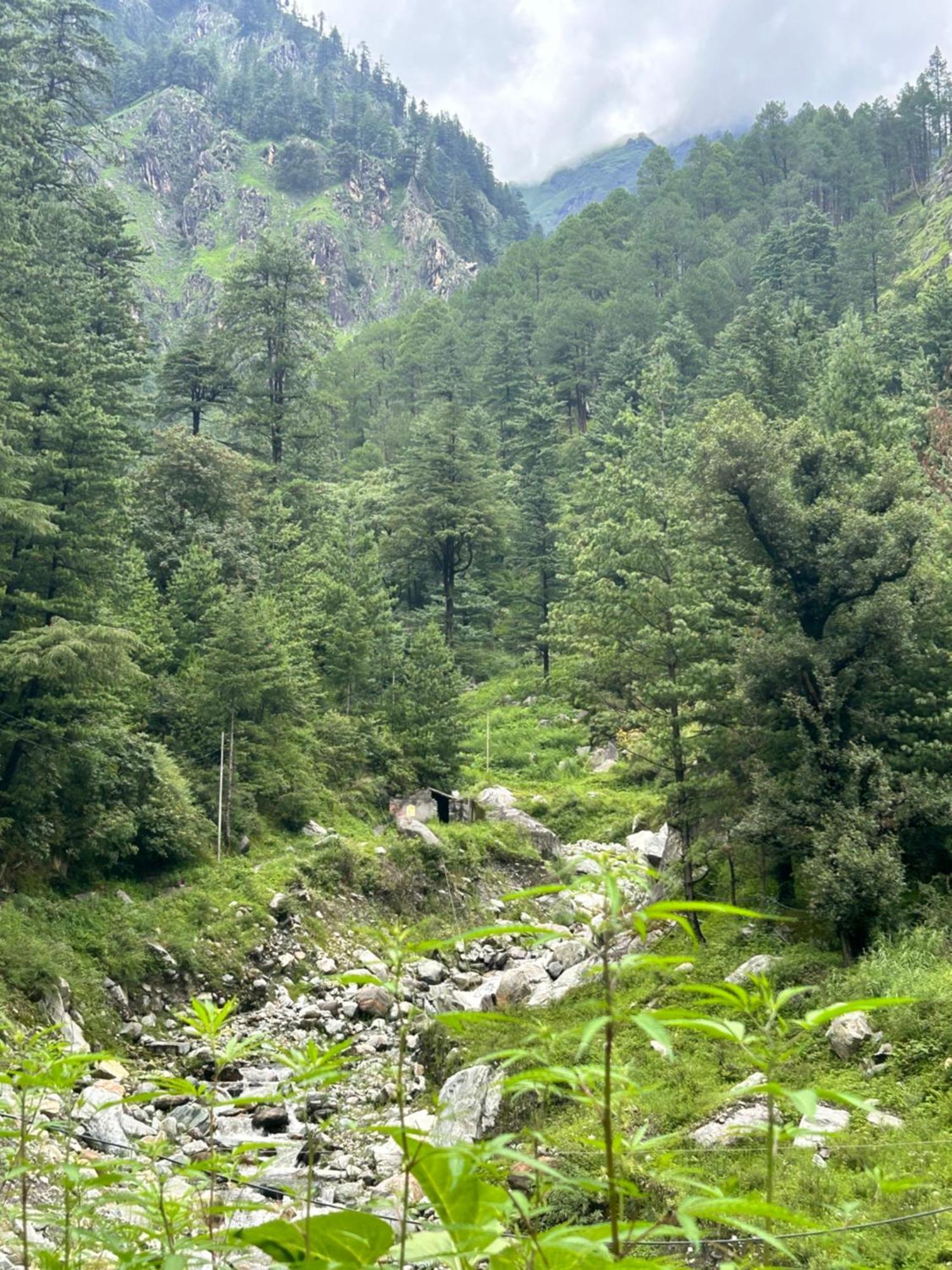 Formosa Hostel & Cafe Kasol Luaran gambar